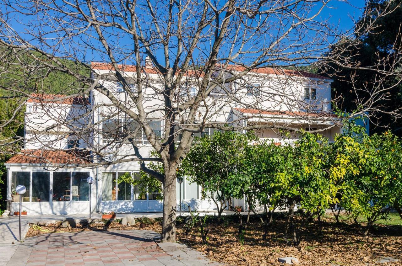 Apartments With A Parking Space Zuljana, Peljesac - 4574 Eksteriør bilde